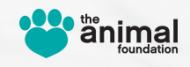 The Animal Foundation