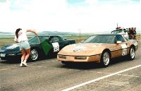 Rex at the starting line